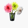 Close-up of pink, white, and green Gerber flower pens in a black cage pen holder – fun stationery gift