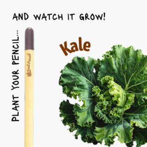 Plantable pencil that grows kale.