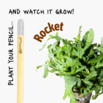 Plantable pencil designed to grow rocket leaves.