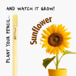 Pencil with sunflower seeds that grows into a sunflower.