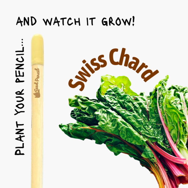 Plantable pencil that grows Swiss chard.