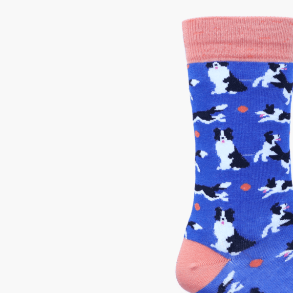 Close-up: Close-up of border collie illustration on socks