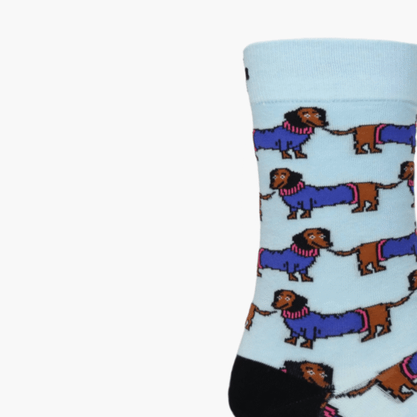 Close-up: Close-up of dachshund jersey detail on socks