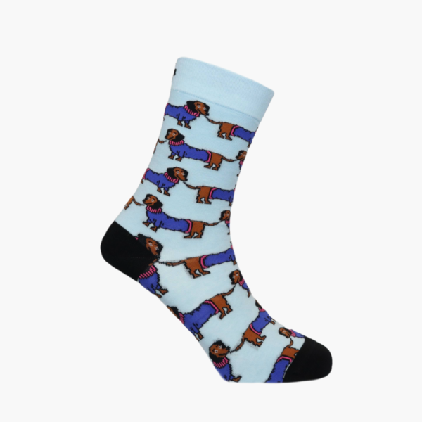 Full: Blue socks with sausage dog wearing a jersey