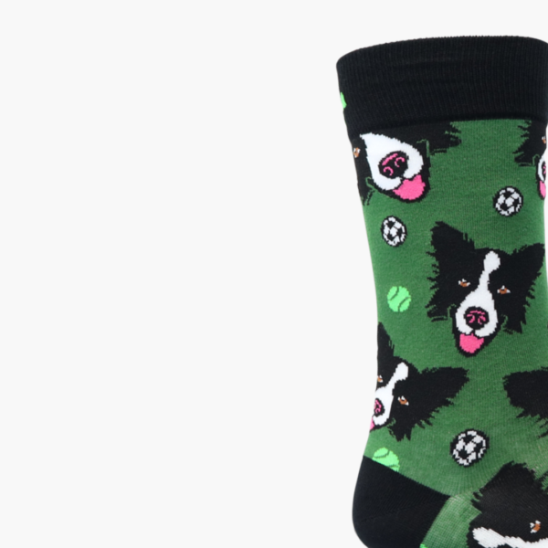 Close-up: Close-up of border collie and football design