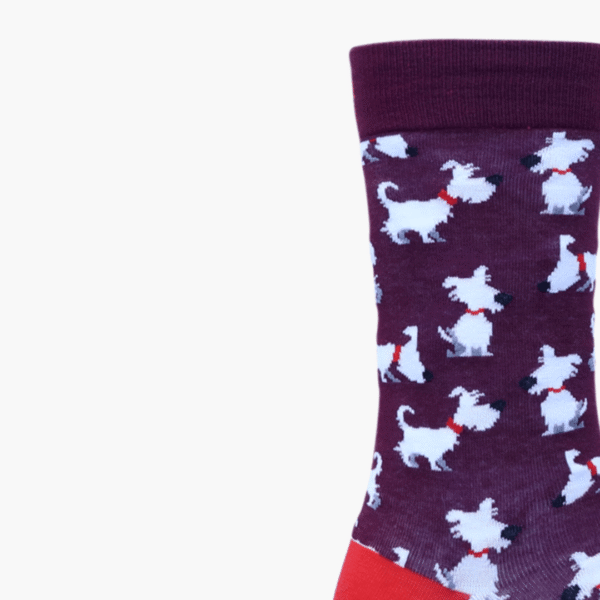 Close-up: Close-up of white dog design on mauve socks